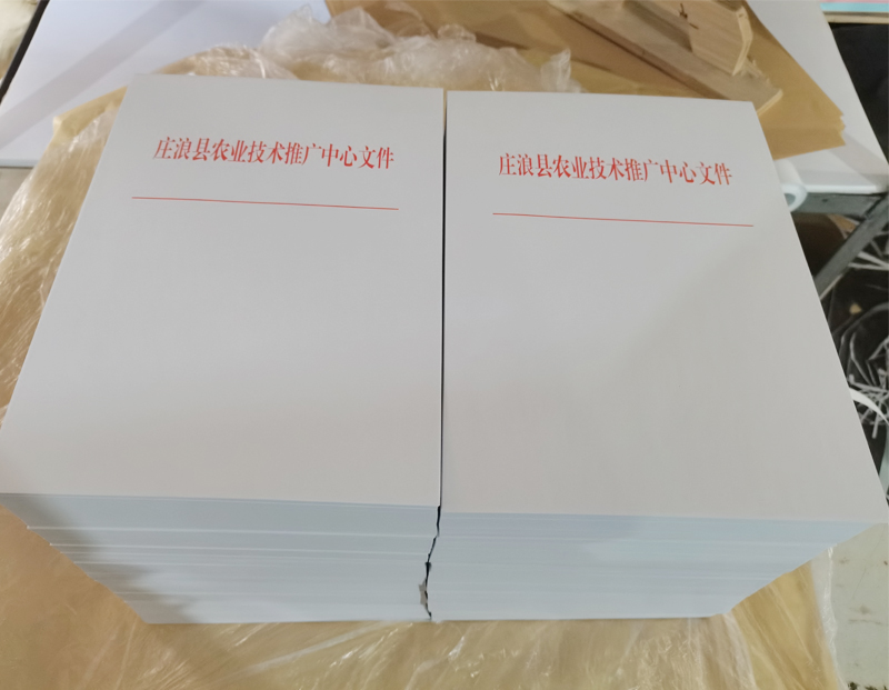 长城区文头纸